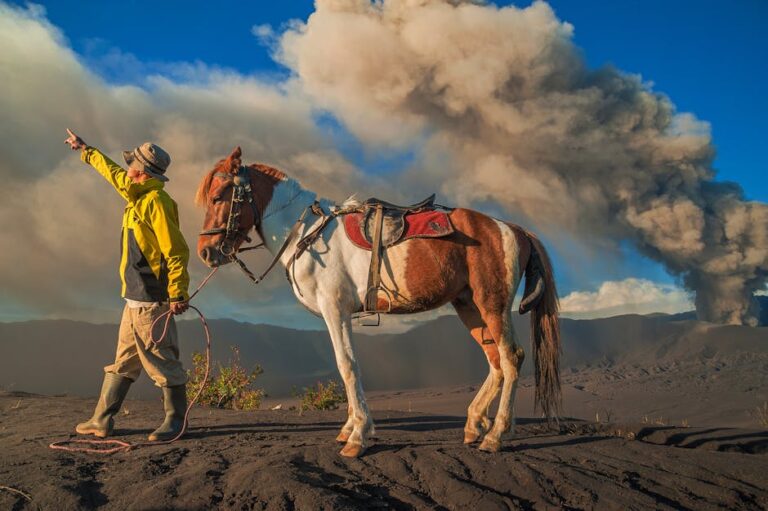 Dust Storm Warning: Protecting Yourself and Your Property from the Fury of Nature