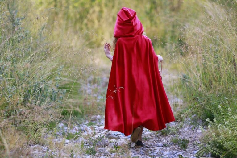 Decoding Gilead: A Deep Dive into The Handmaid’s Tale Reddit Community