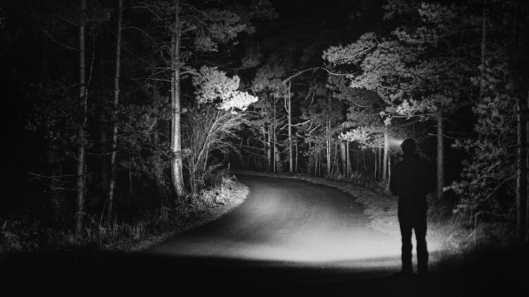 Stranger Things Season 5: Everything We Know So Far & Wild Fan Theories