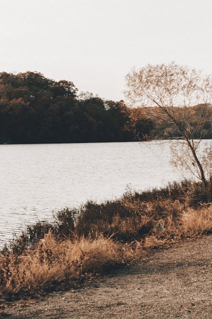 Decoding Kansas City Weather: A Comprehensive Guide to the City of Fountains’ Climate