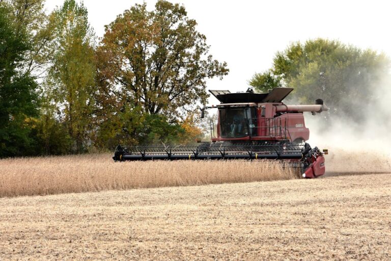 Illinois Dust Storms: Understanding, Preparing For, and Surviving the Windy City’s Wild Weather