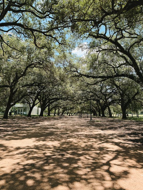 Area 29 Houston: A Comprehensive Guide to Living, Working, and Playing in this Vibrant Neighborhood