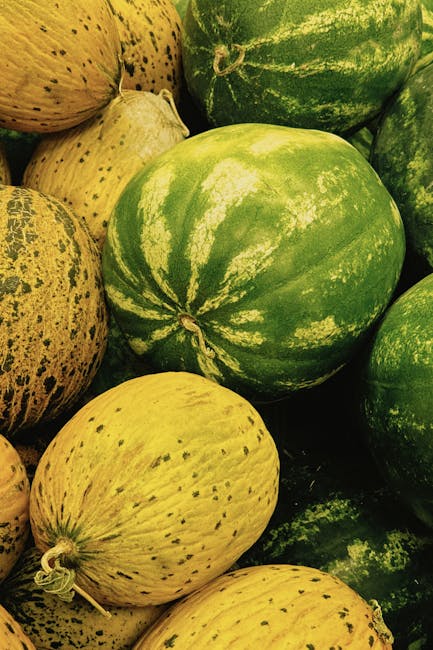 Niemann Harvest Market: Your Guide to Fresh, Local, and Seasonal Delights