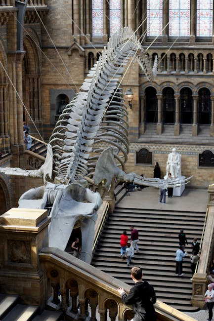 Bawl Meaning Whale: Unraveling the Cryptic Connection and Exploring Whale Vocalizations