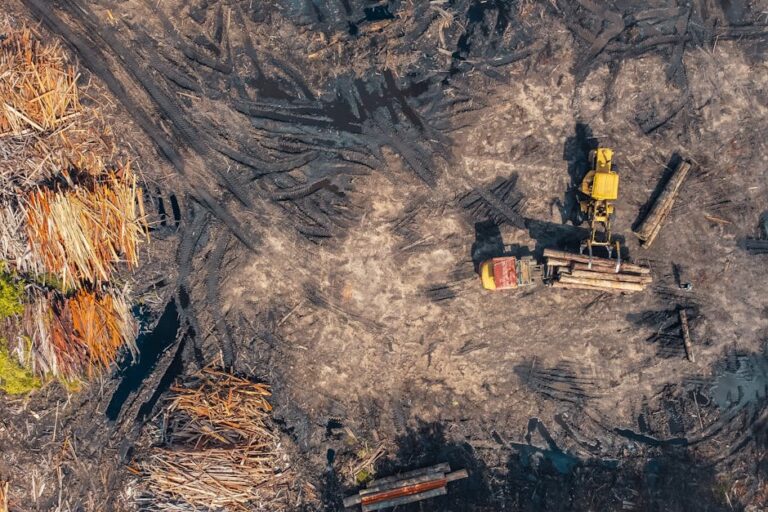 Excavated Soil: Understanding, Managing, and Utilizing the Material Removed from Dig Sites