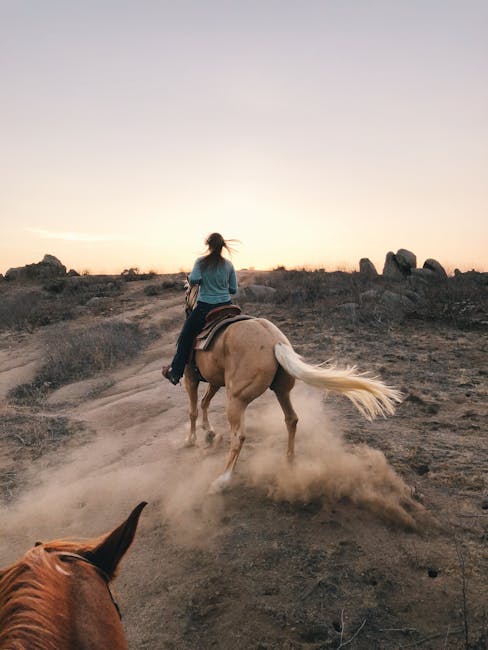 Wear Away as Soil: The Processes, Impacts, and Mitigation of Soil Erosion