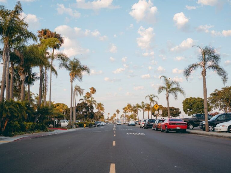 Murphy Canyon: Your Guide to San Diego’s Hidden Gem Neighborhood