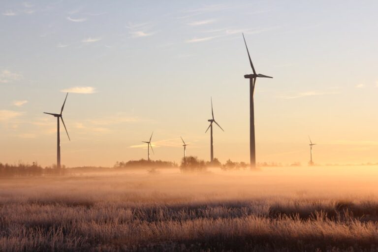 Sunrise on the Reaping: A Deep Dive into the Symbolism and Significance of Dawn in Harvesting Cultures