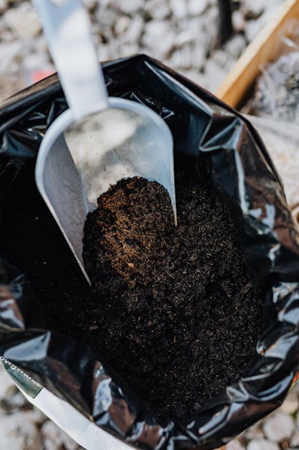 The Ultimate Guide to Aroid Soil Mix: Achieving Thriving Plants