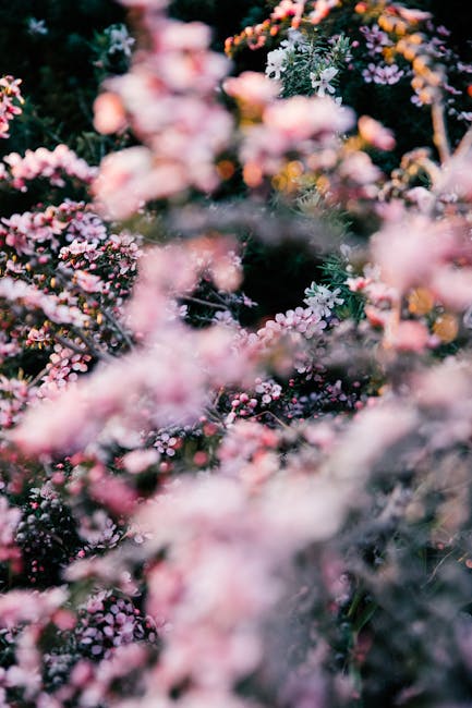 Unlocking Nature’s Bounty: A Comprehensive Guide to Grow A Garden Codes and Techniques