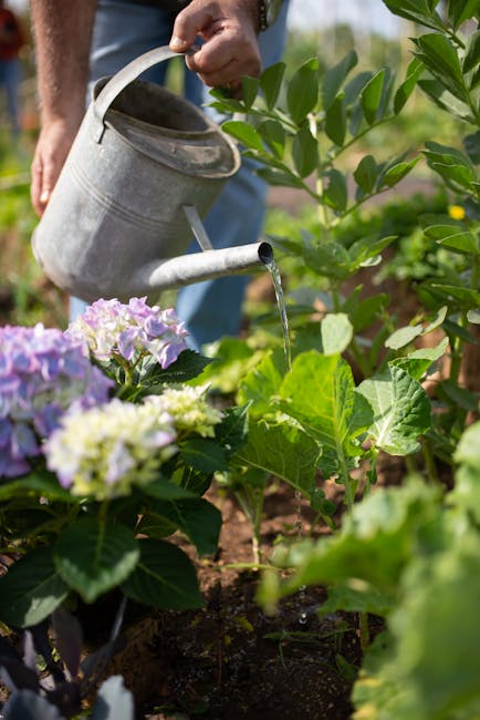 How to Propagate Hydrangeas from Leaves: A Comprehensive Guide for Stunning Blooms