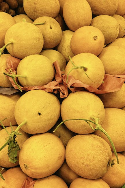 Melon Definition: A Comprehensive Guide to Types, Cultivation, and Nutritional Benefits
