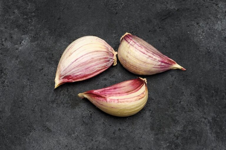 Brighten Your Kitchen: The Ultimate Guide to Choosing the Perfect Bulb